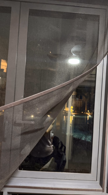 Mosquito & Cat Mesh Netting